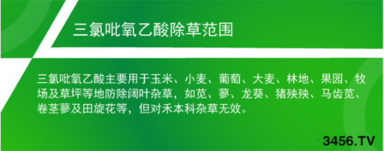 三氯吡氧乙酸——专杀阔叶杂草、木本植物! 三氯吡氧乙酸——专杀阔叶杂草、木本植物!